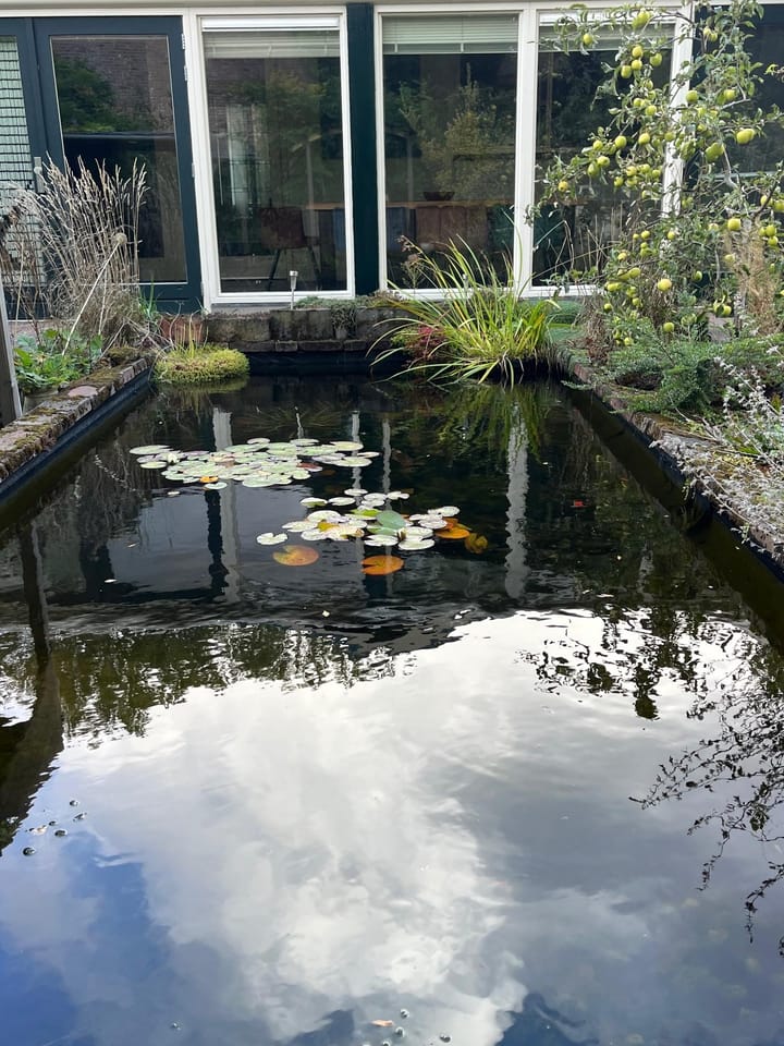 Foto 17 van Heesterlustweg 7