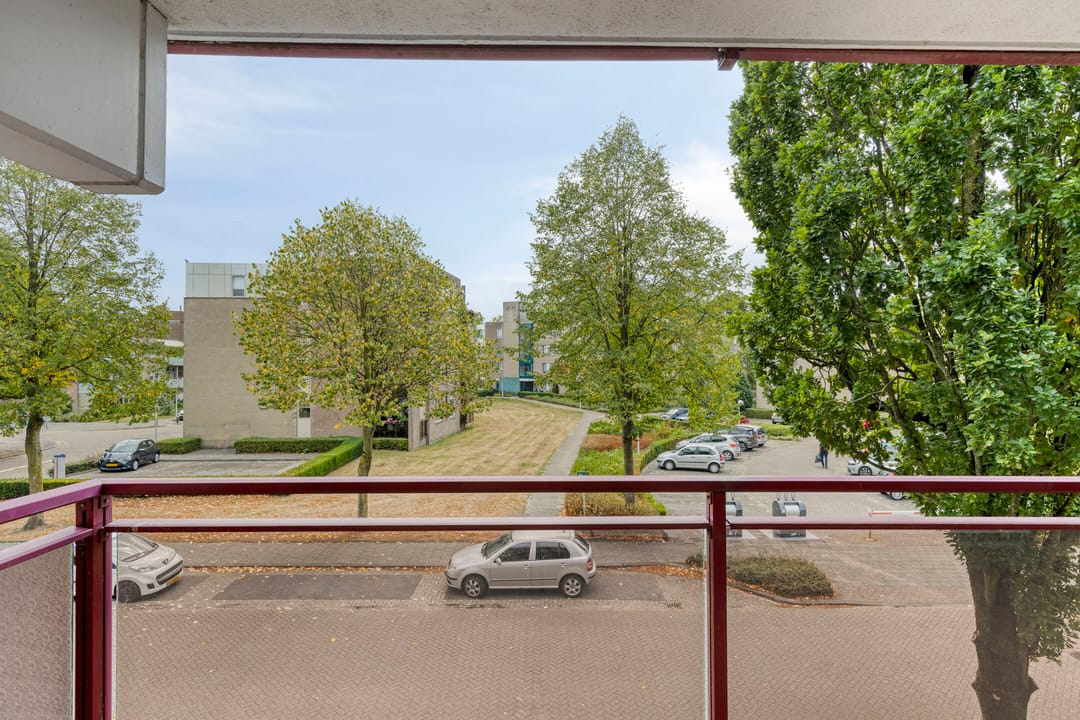 Photo 17 of Hartenvier 59