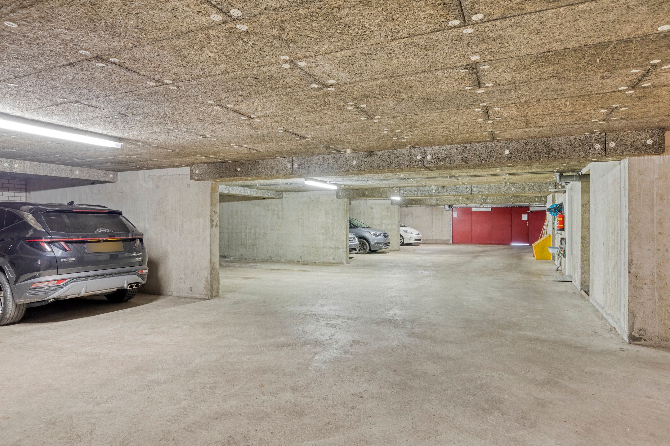 Photo 33 of Hartenvier 59