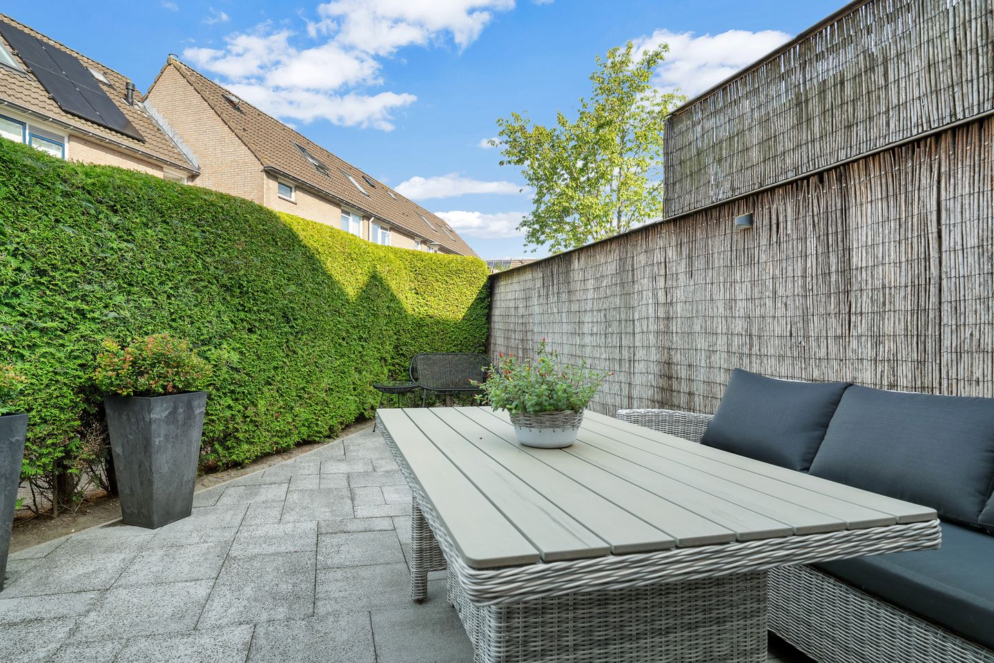 Photo 34 of Van Maanenware 40