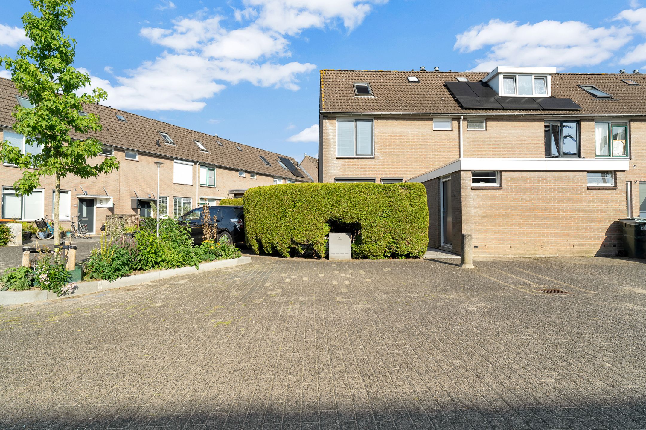 Photo 36 of Van Maanenware 40