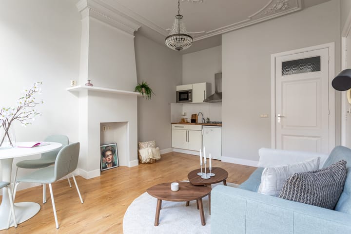 Foto 4 van Van Swietenstraat 145