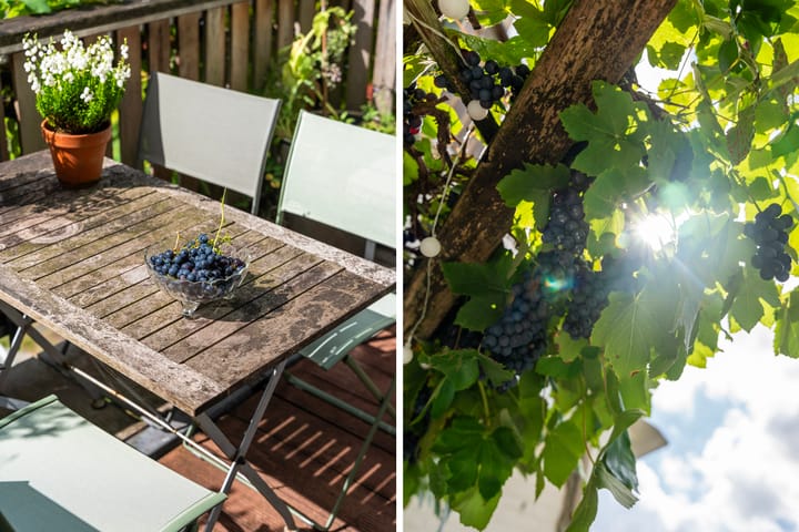 Foto 8 van Schiebroekselaan 47-B