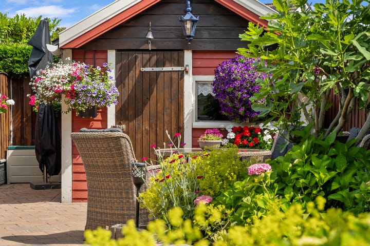 Foto 30 van Wittenstein 259