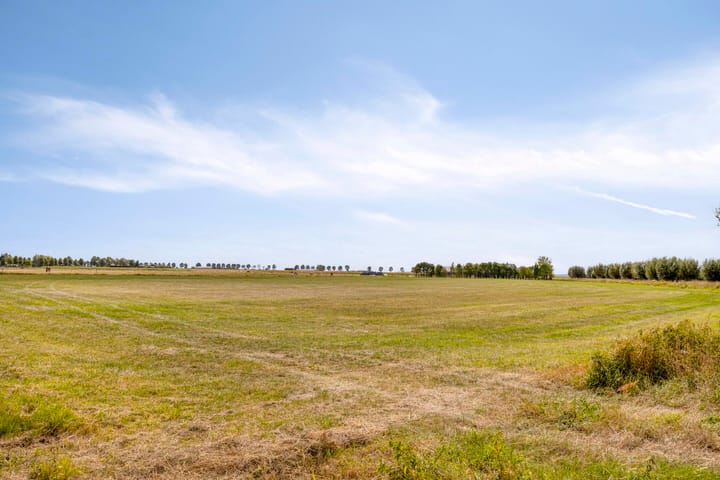 Photo 37 of Irenestraat 9