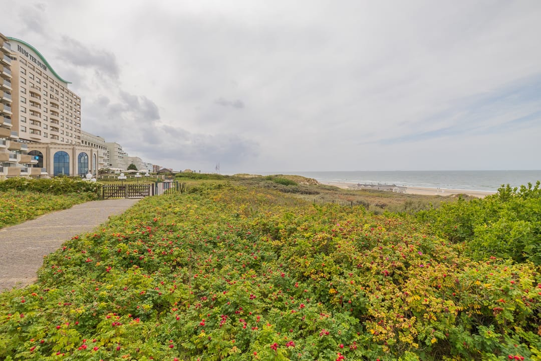 Foto 23 van Strandwijck 2