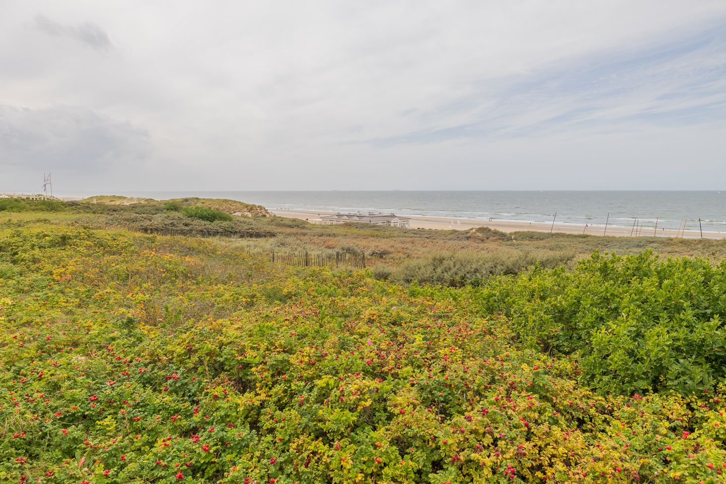 Foto 25 van Strandwijck 2