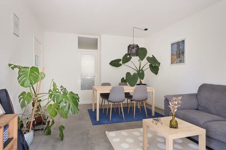 Thorbeckestraat 22 secondary image