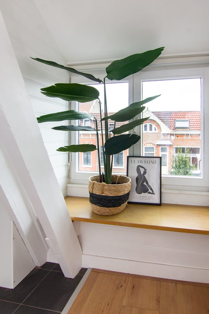 Foto 13 van Tempeliersstraat 57-B