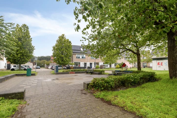 Foto 47 van Robert Stolzhof 53