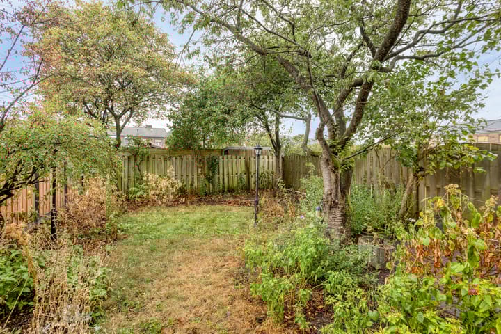 Foto 32 van Doctor Nolensstraat 14