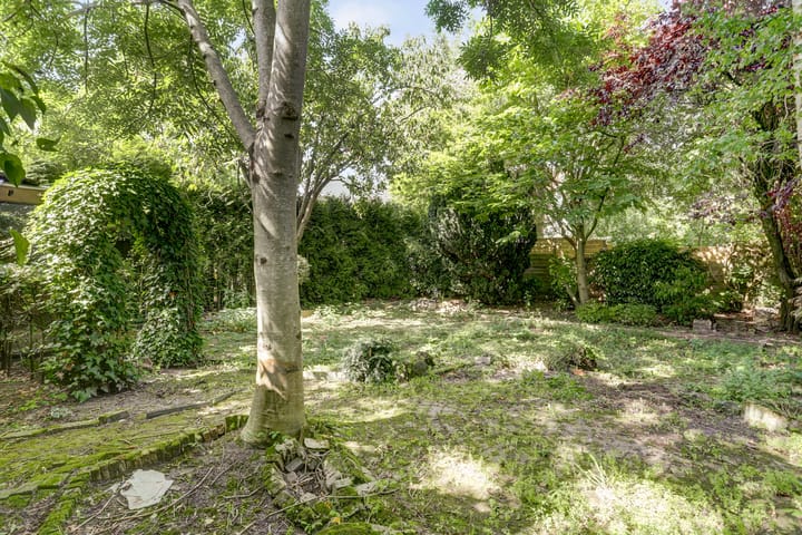 Foto 51 van Julianastraat 28