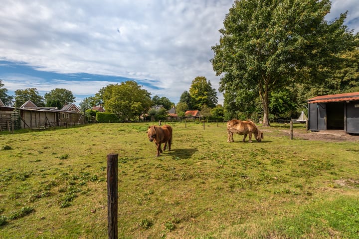 Foto 12 van Oostersingel 65