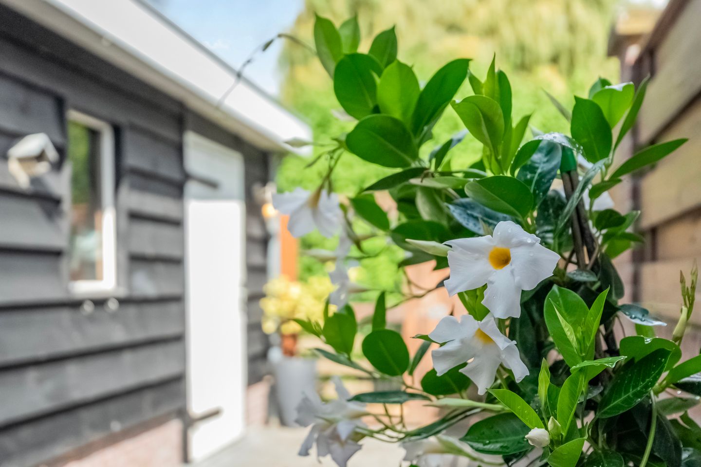 Photo 40 of Verbruggestraat 24