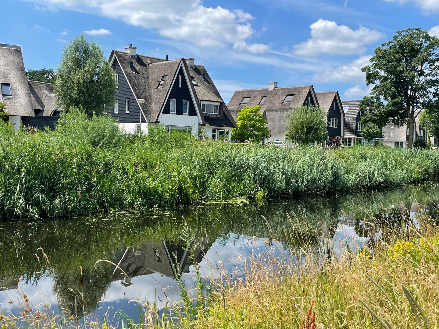 Foto 44 van Warmelo 5