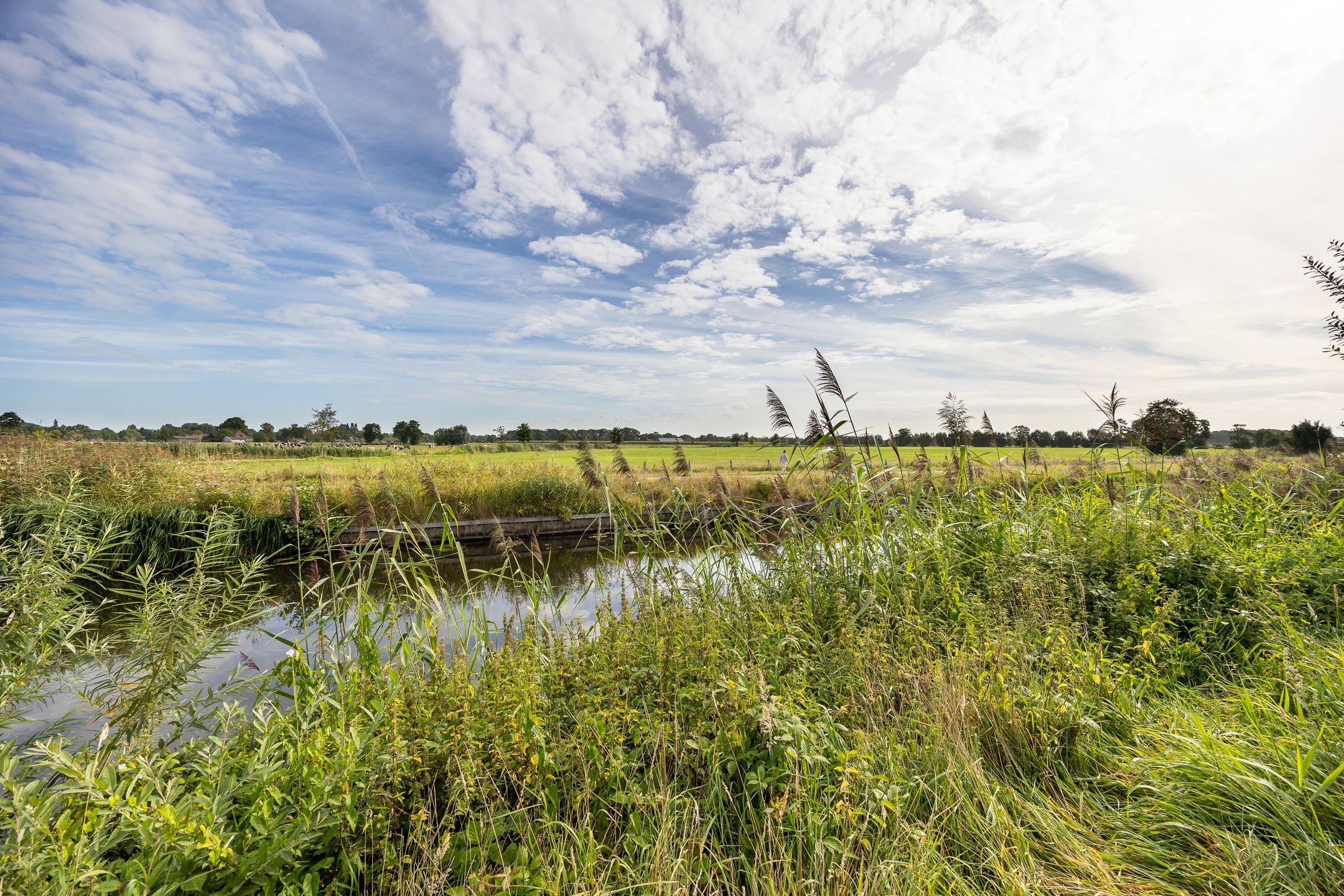 Foto 45 van Warmelo 5