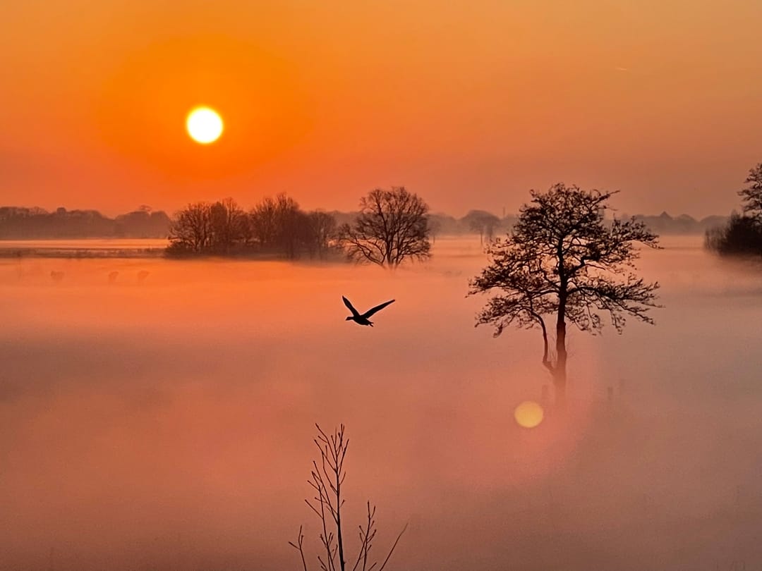 Foto 47 van Warmelo 5