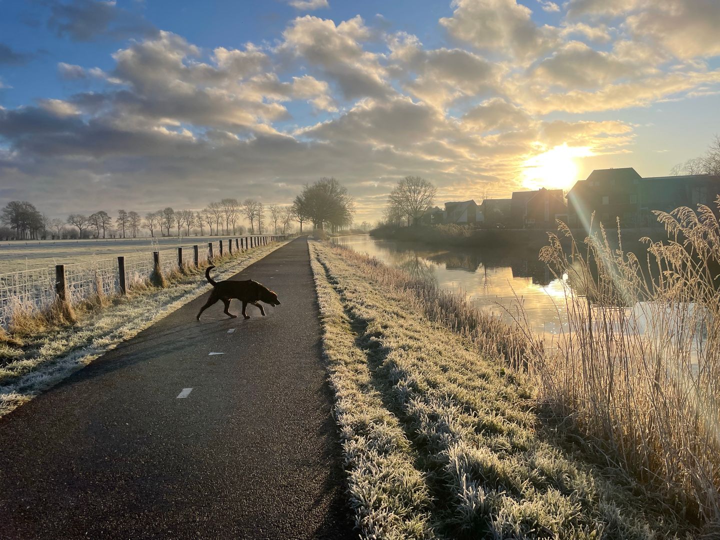 Foto 49 van Warmelo 5