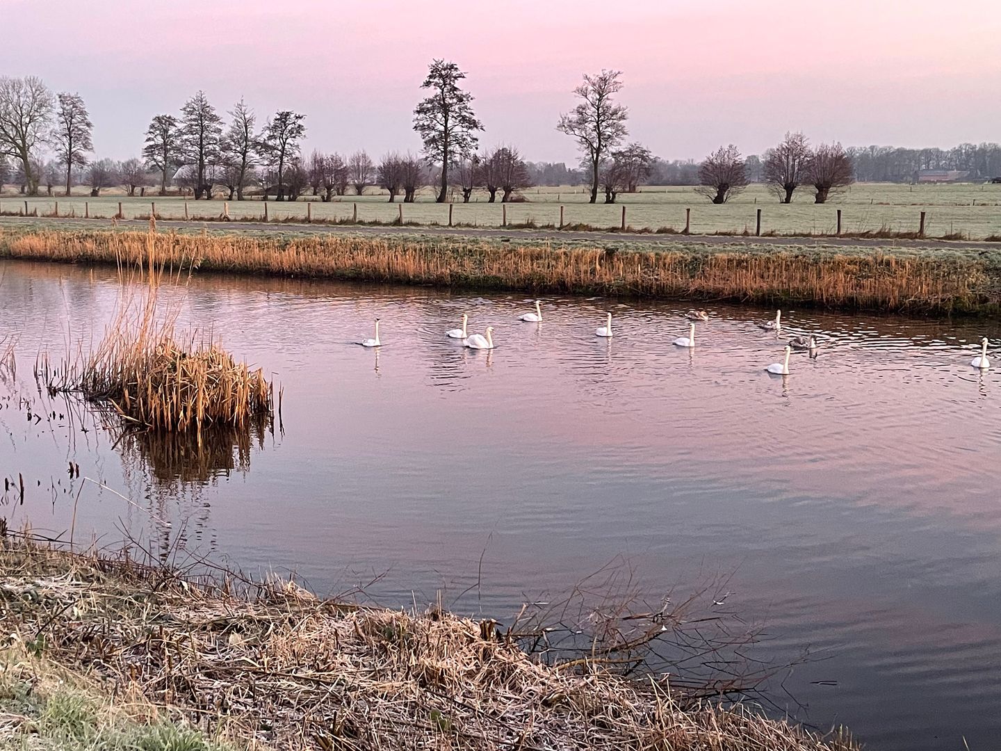 Foto 50 van Warmelo 5