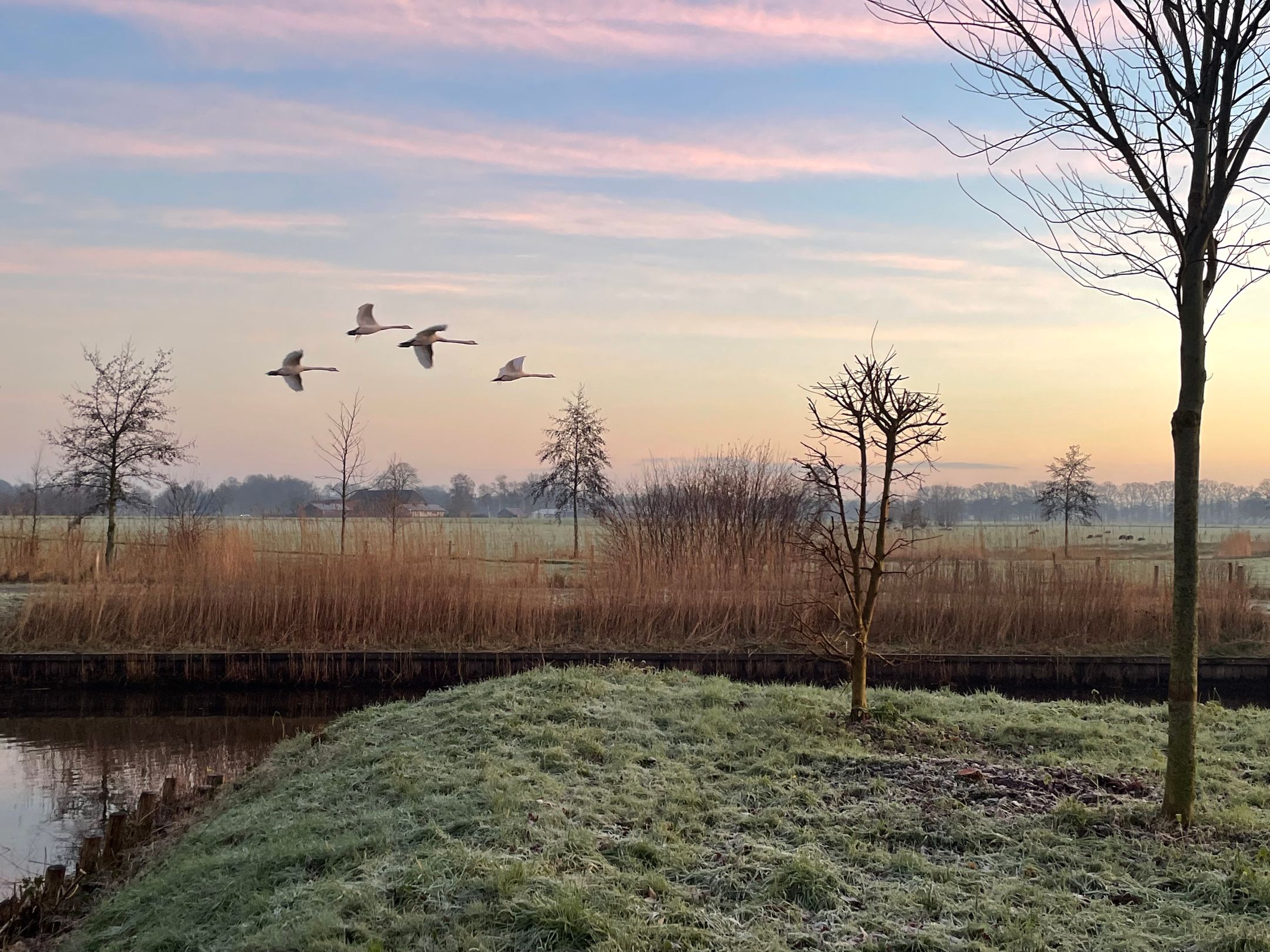 Foto 51 van Warmelo 5