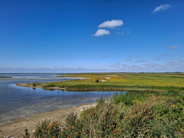 Photo 56 of Gebroeders Bonnemastrjitte 21