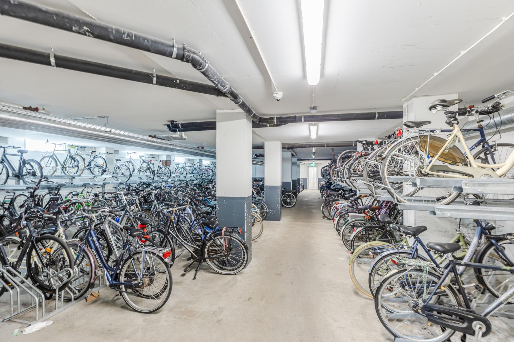 Photo 24 of Bos en Lommerplantsoen 73-F