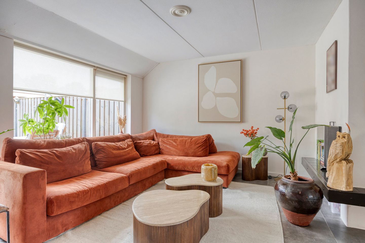 Foto 4 van Engelwortel 76