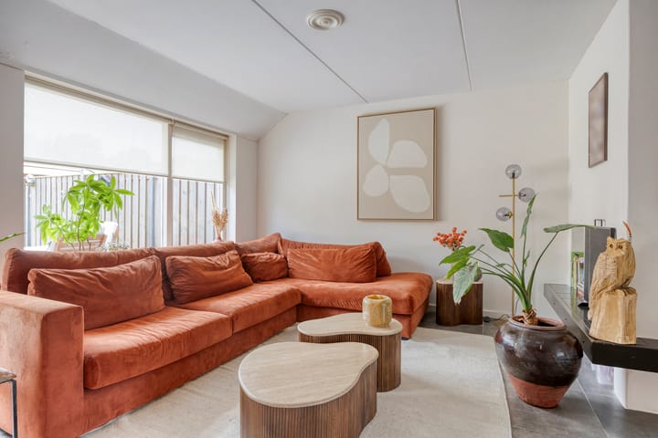 Foto 4 van Engelwortel 76