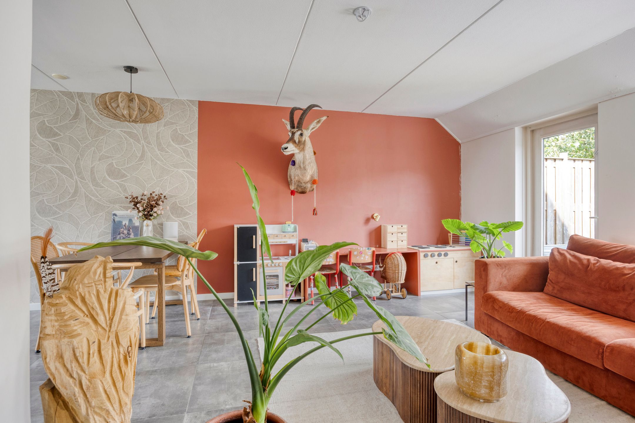 Foto 6 van Engelwortel 76