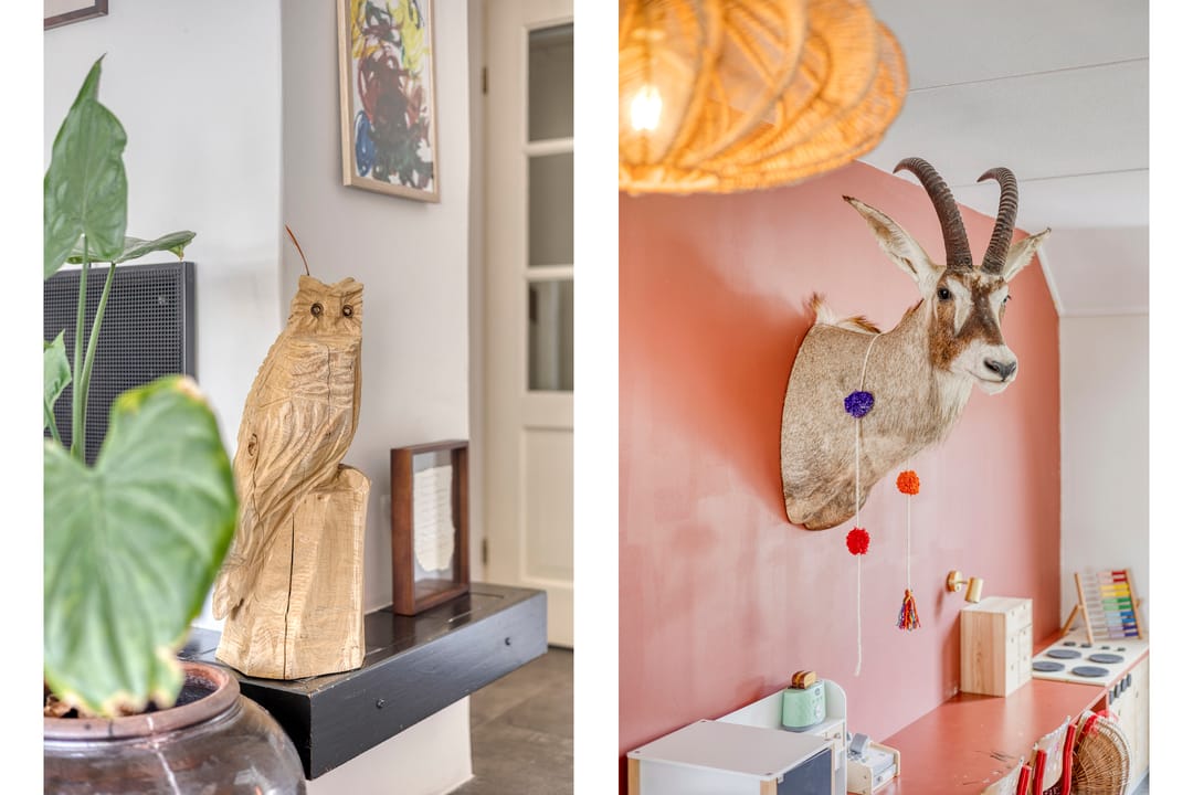 Foto 7 van Engelwortel 76