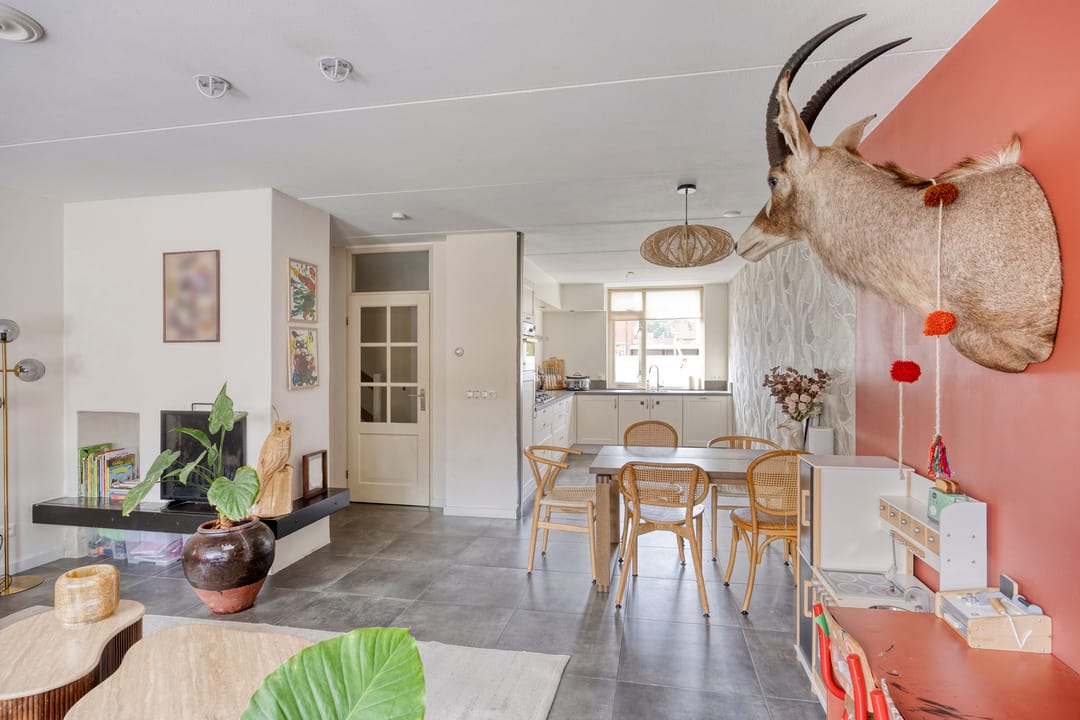 Foto 8 van Engelwortel 76