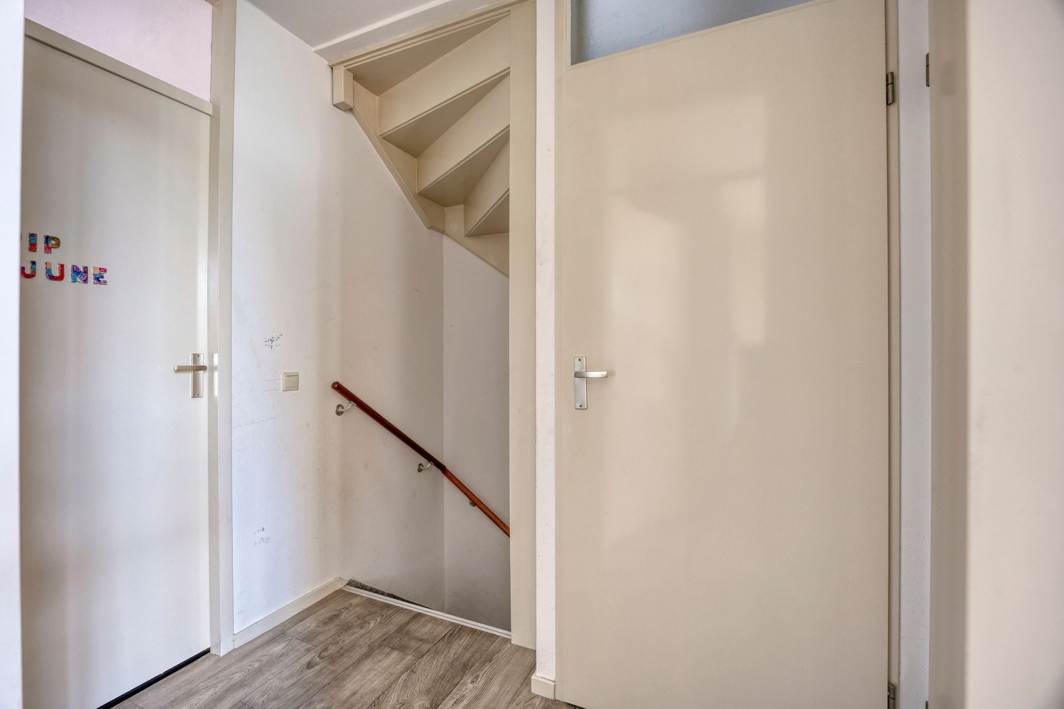 Foto 12 van Engelwortel 76