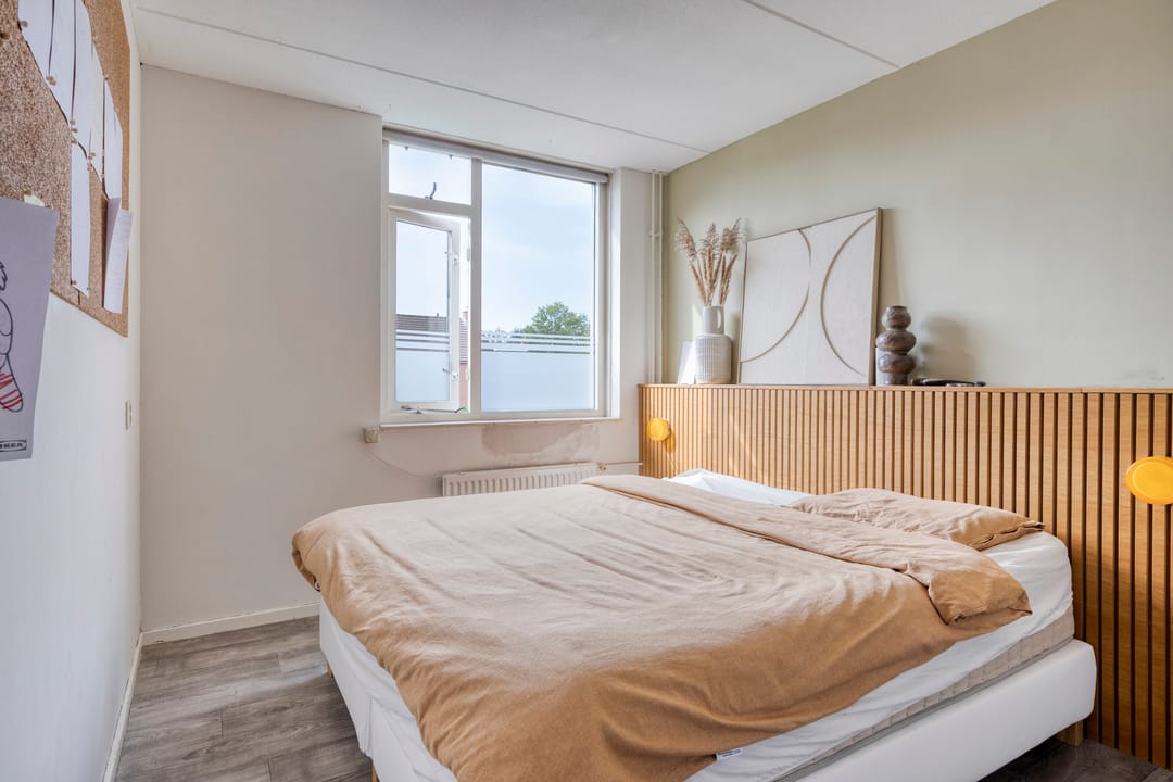 Foto 13 van Engelwortel 76