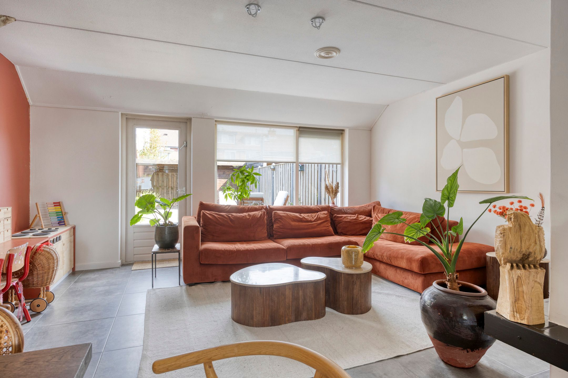 Foto 3 van Engelwortel 76