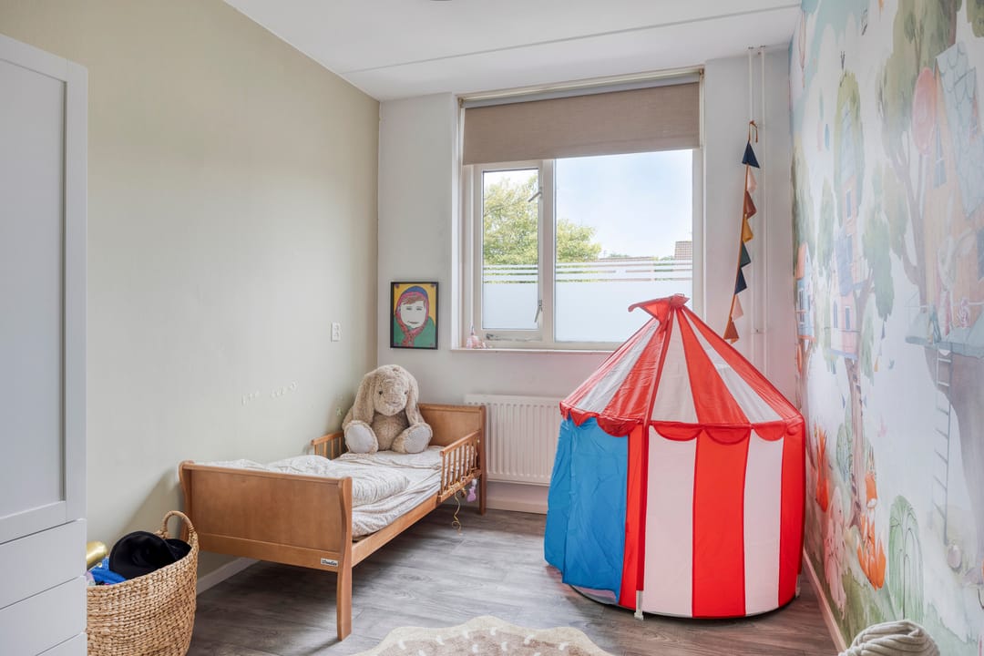 Foto 17 van Engelwortel 76