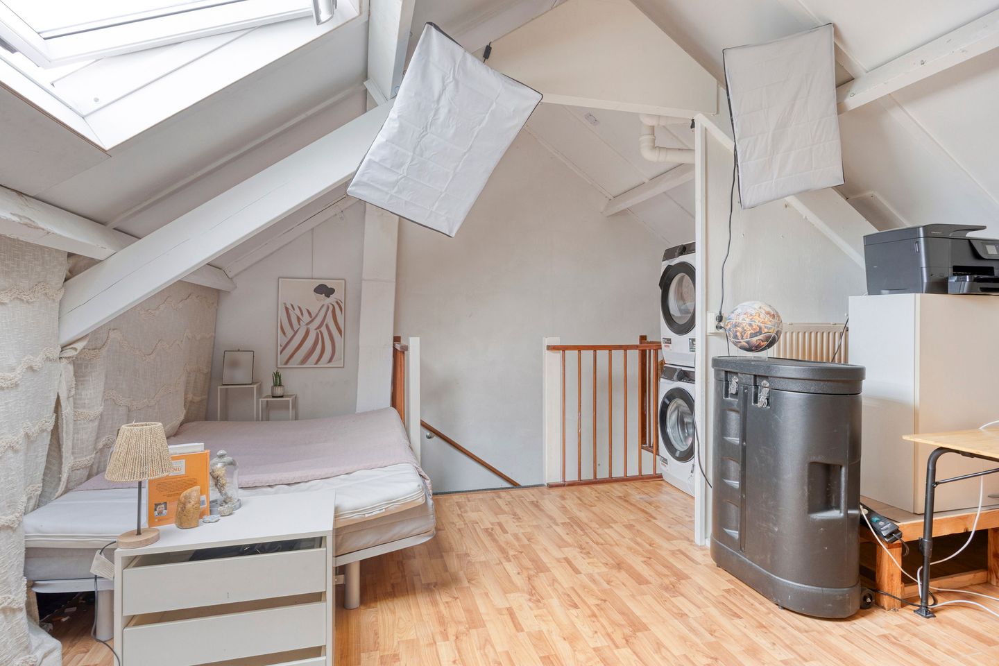 Foto 19 van Engelwortel 76