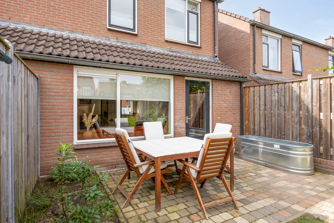 Foto 23 van Engelwortel 76