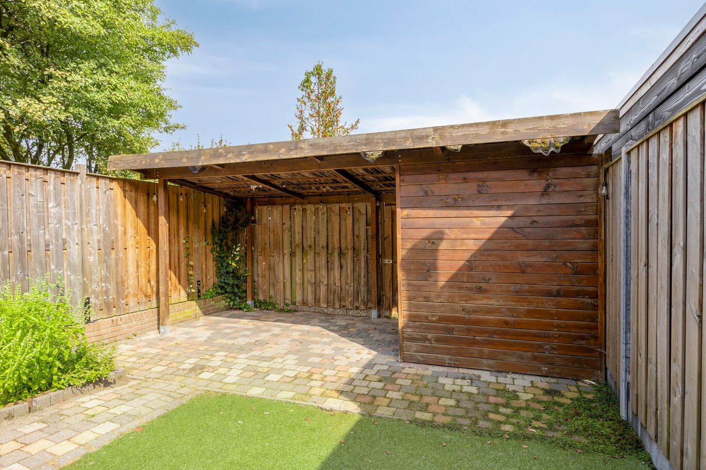 Foto 25 van Engelwortel 76