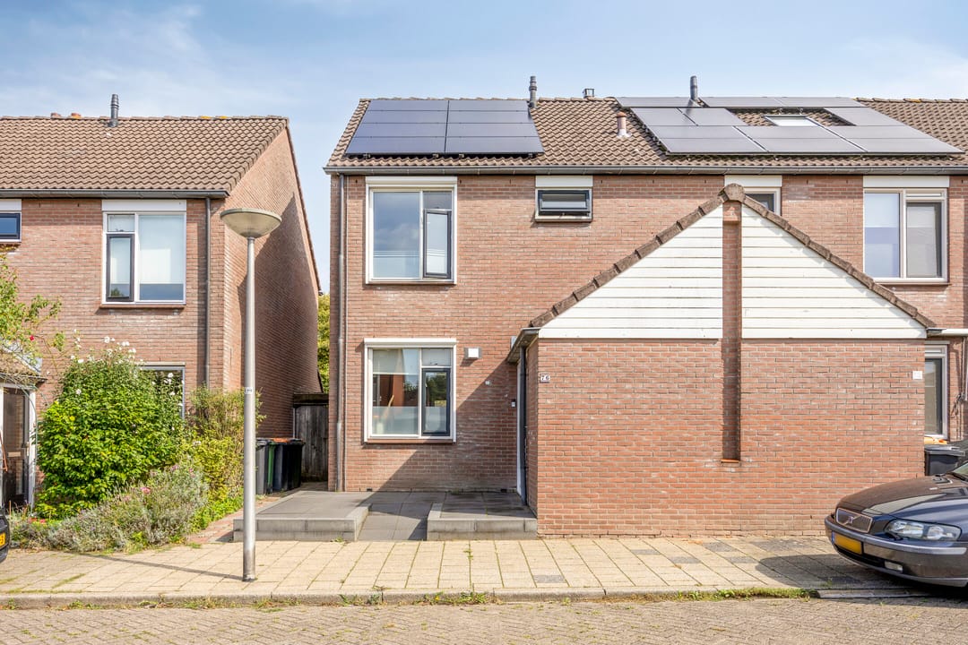 Foto 26 van Engelwortel 76