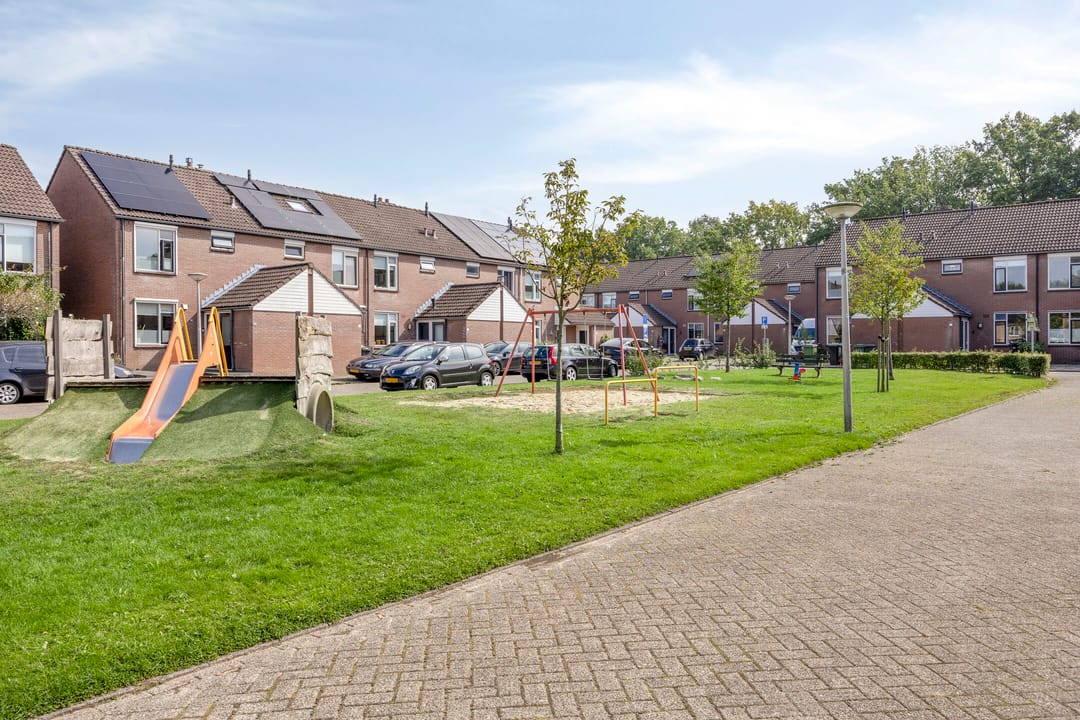 Foto 28 van Engelwortel 76