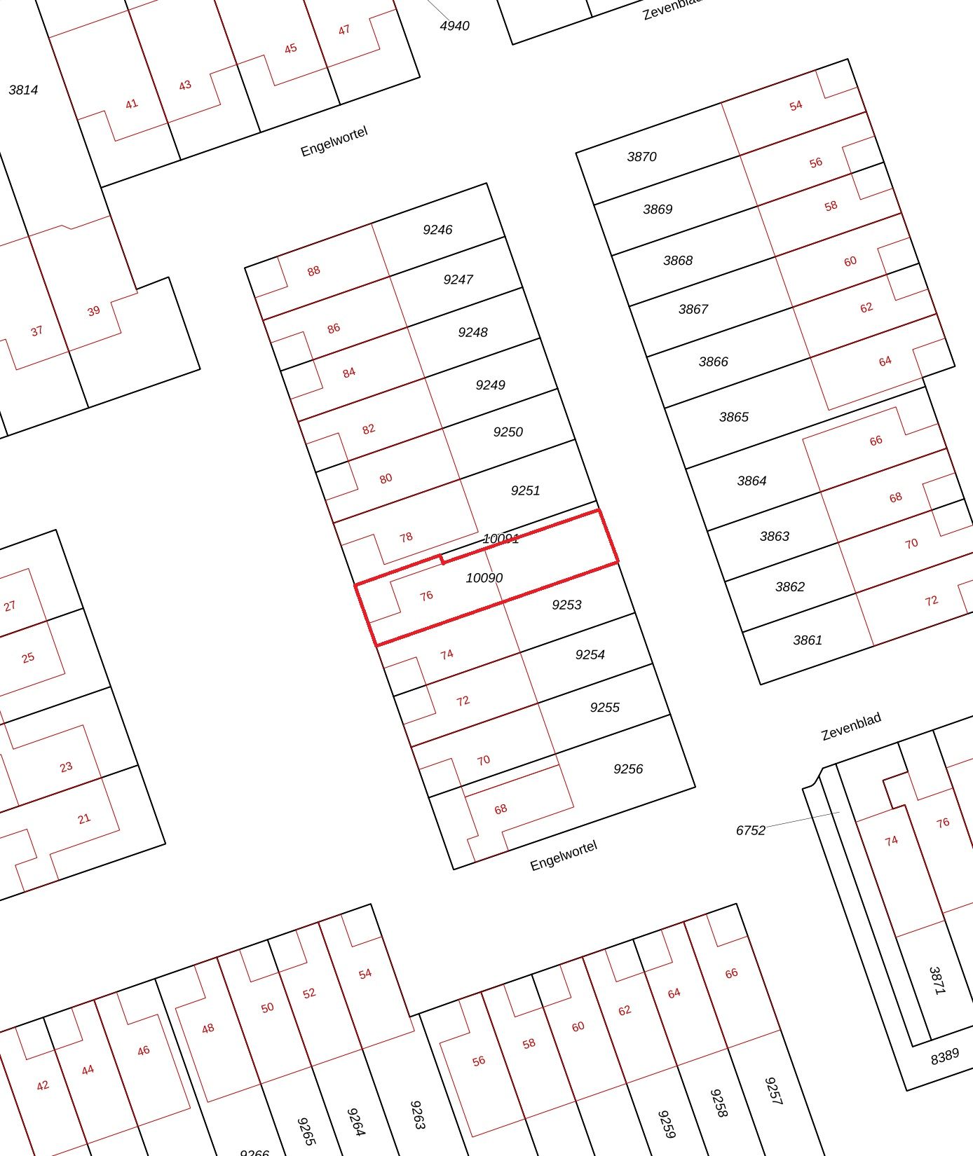 Foto 34 van Engelwortel 76