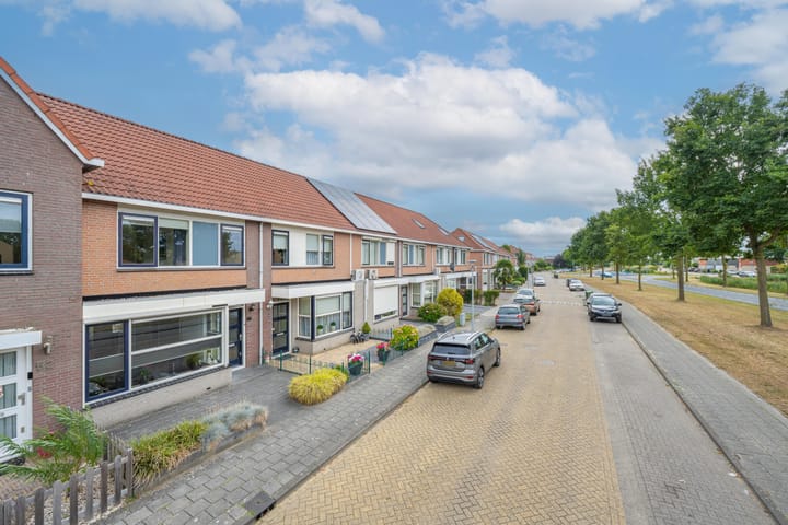 Foto 4 van Beemdkroon 50