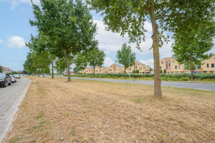 Foto 5 van Beemdkroon 50