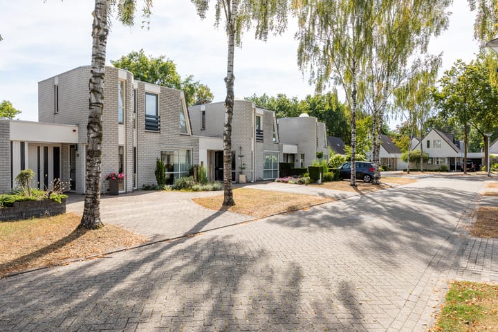 Foto 3 van Lariksrode 15