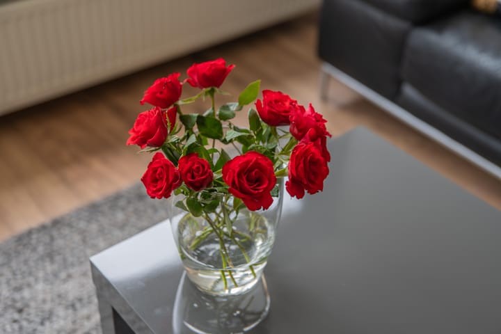 Foto 17 van Beemdkroon 50