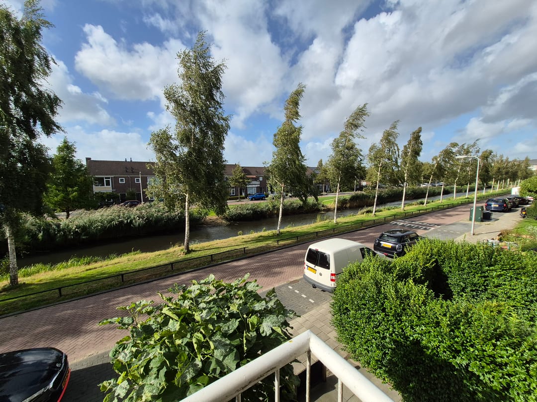 Foto 13 van Jan van Goyenplantsoen 31