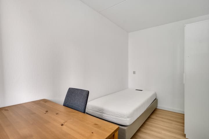 Foto 11 van Erasmusdomein 2-A