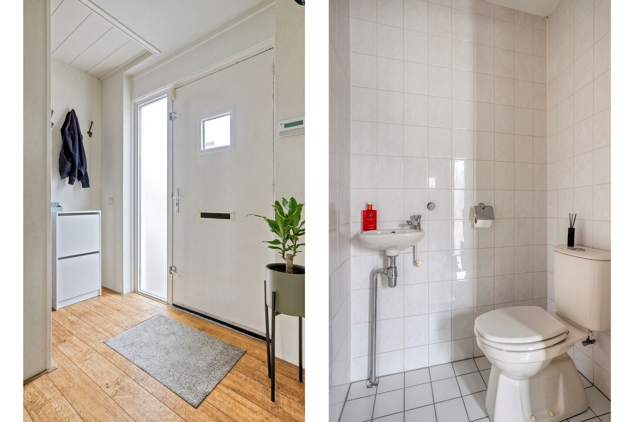 Foto 9 van Willem Walravenhove 9