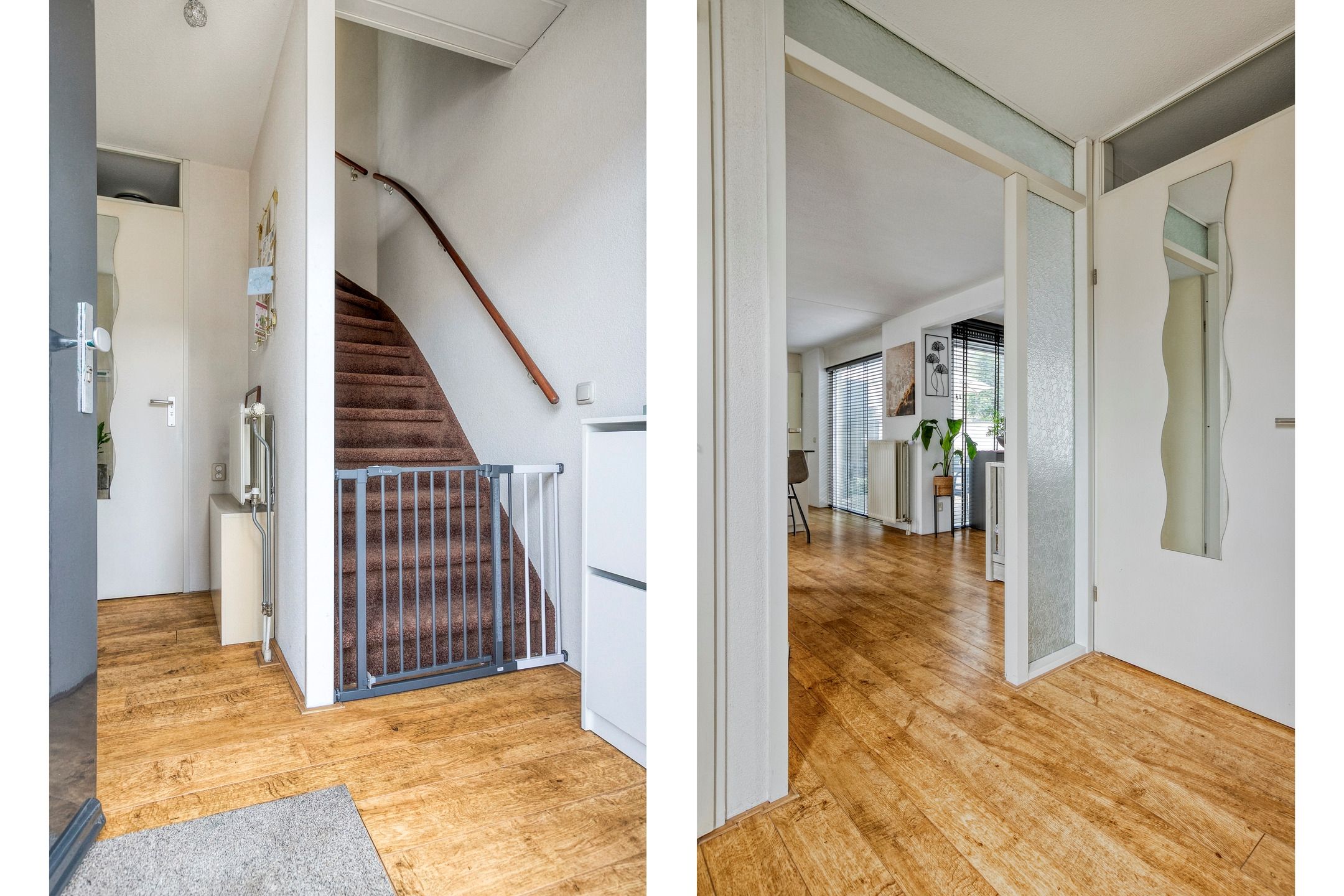 Foto 18 van Willem Walravenhove 9