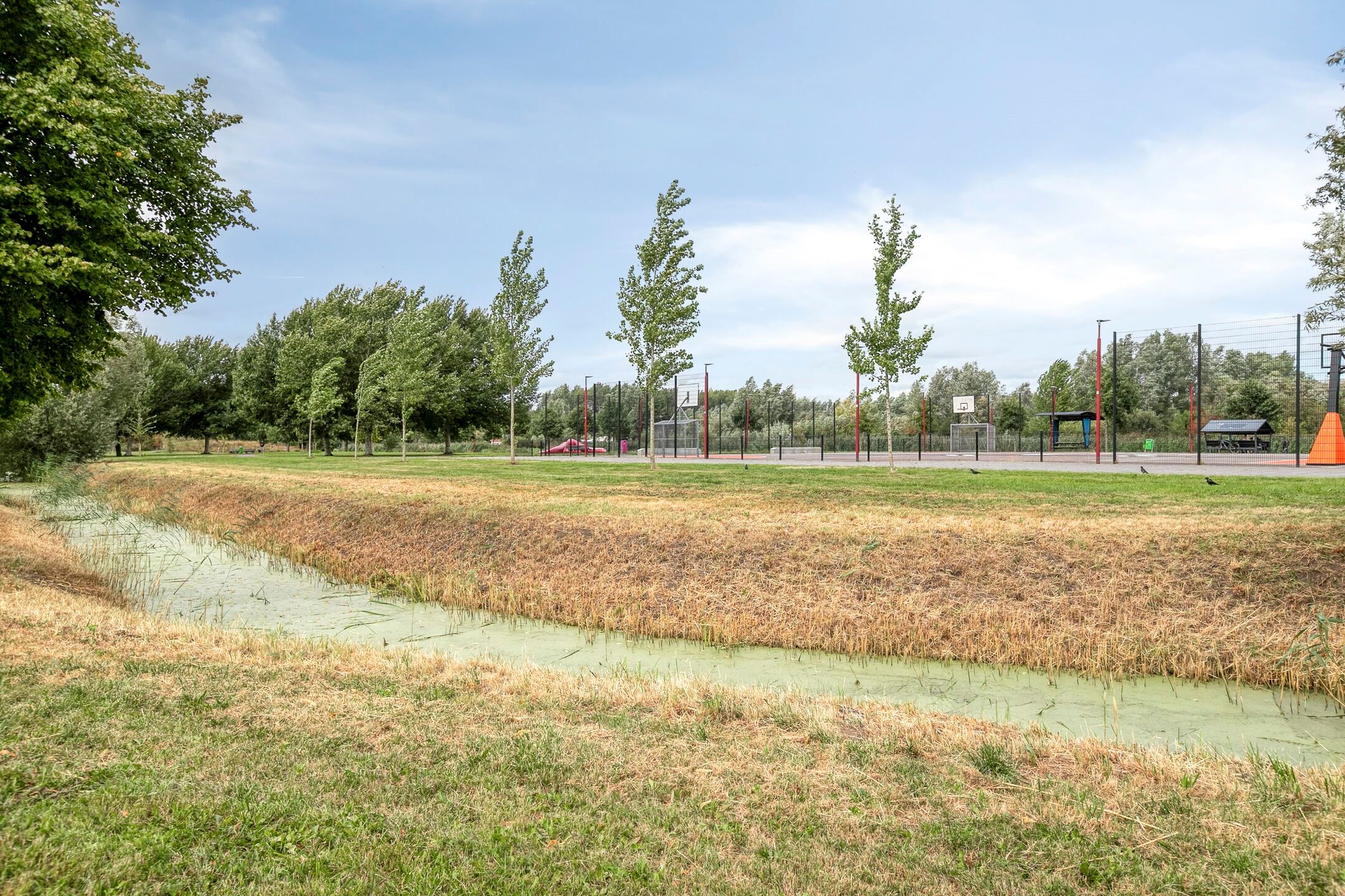 Foto 33 van Willem Walravenhove 9